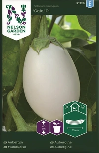 Aubergin, Gaia F1