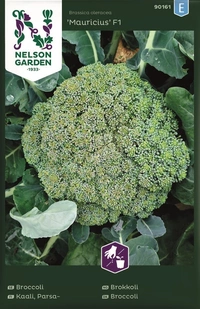 Broccoli Mauricius