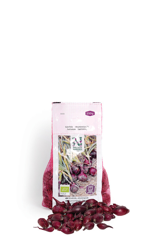 Sättlök Röd Organic. 250 g