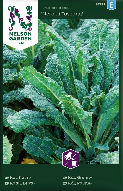 Kål, Palm-, Nero di Toscana