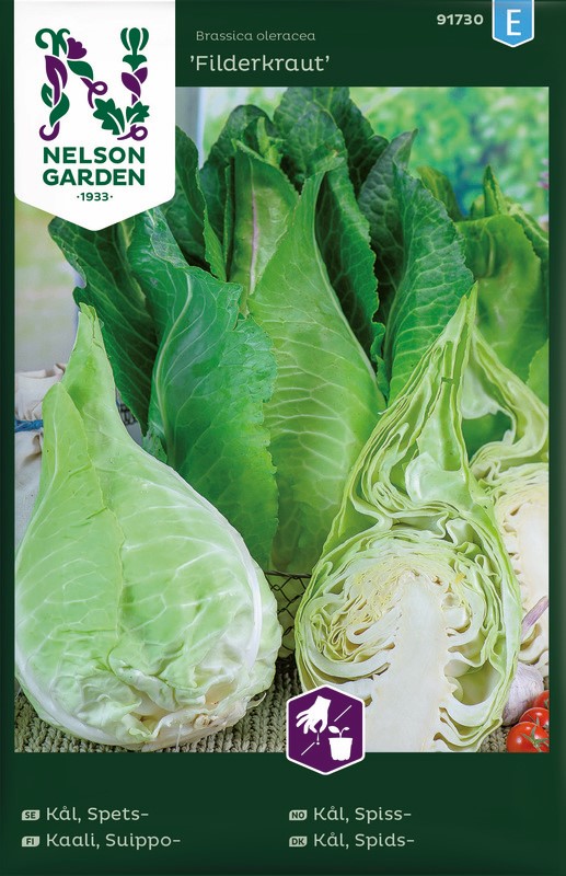 Kål, Spets-, Filderkraut