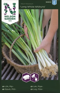 Lök, Pip-, Long White Ishikura Såband