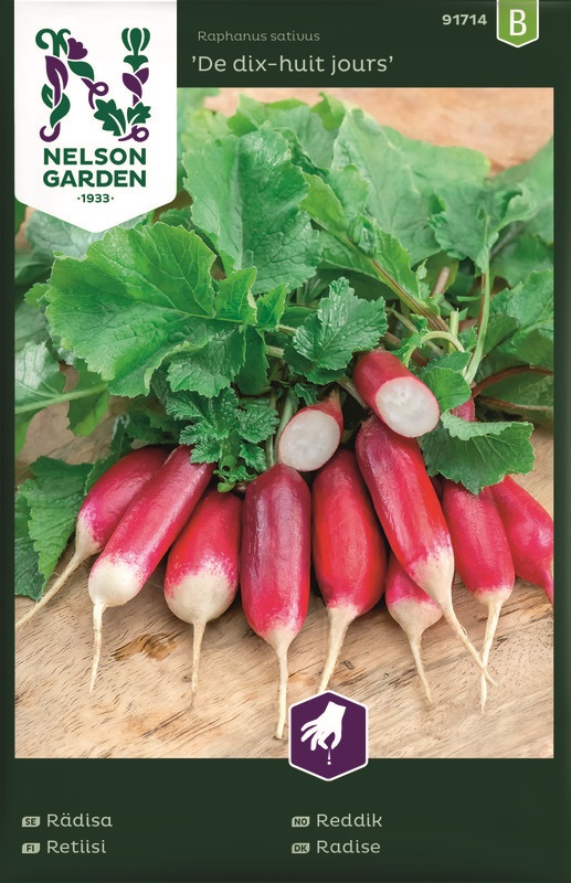 Rädisa, De dix-huit jours