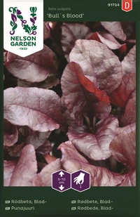 Rödbeta, Blad-