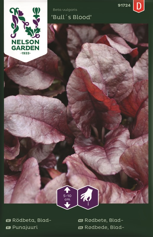 Rödbeta, Blad-