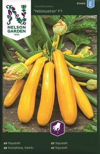 Squash, Yellowstar F1