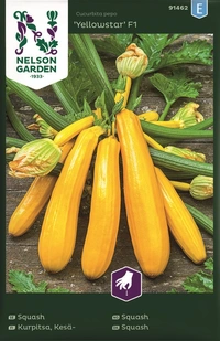 Squash, Yellowstar F1