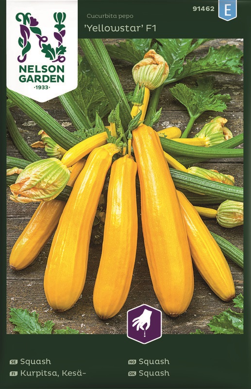 Squash, Yellowstar F1