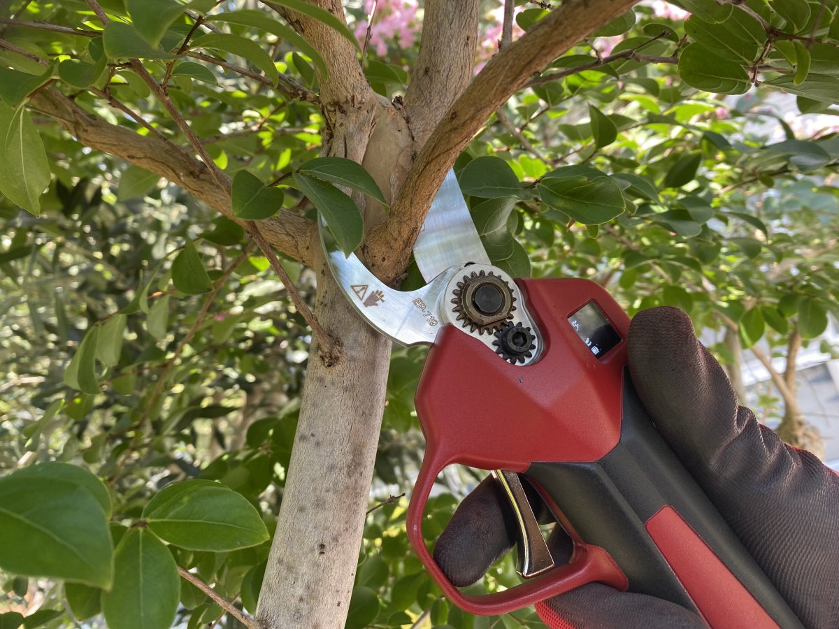 ARS Batteridriven Sekatör EP-719, Cut 25mm