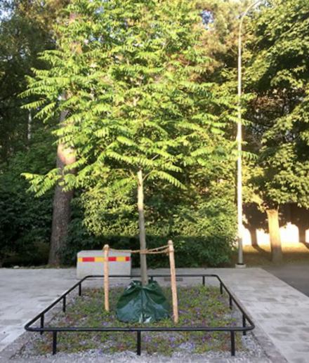 Bevattningssäck Tgross