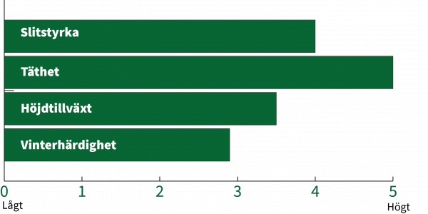 Gräsfrö Skånefrö Siesta 20kg