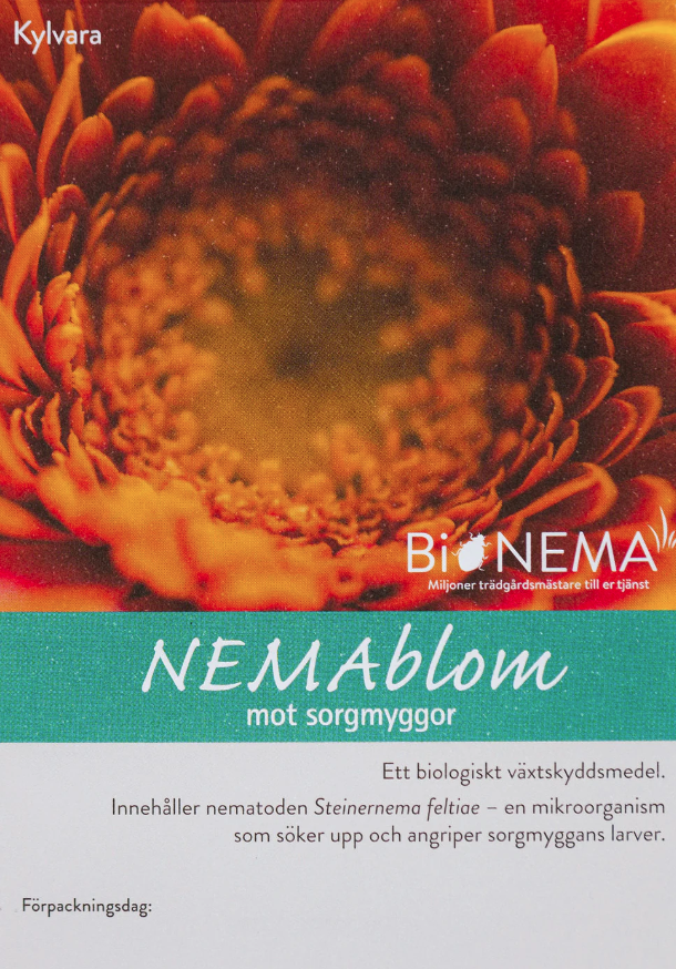 NEMAblom mot sorgmyggor, biologisk (2 kvm eller 20 krukor)