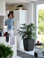 Vaso Genesis quadrato H 60cm, 82L, Antracit