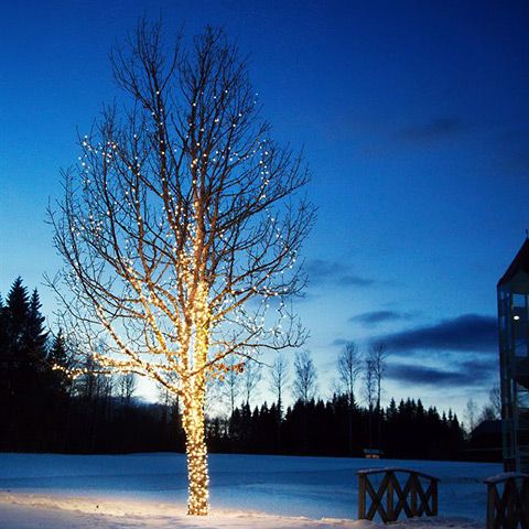 Ljusslinga ute/inne Chrissline 50 LED