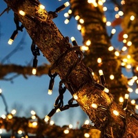 Ljusslinga ute/inne Chrissline 100 LED Orginal (2600K)