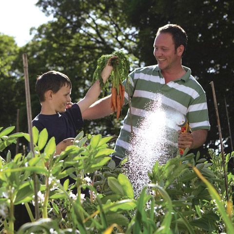 Sprutpistol Multispray Plus