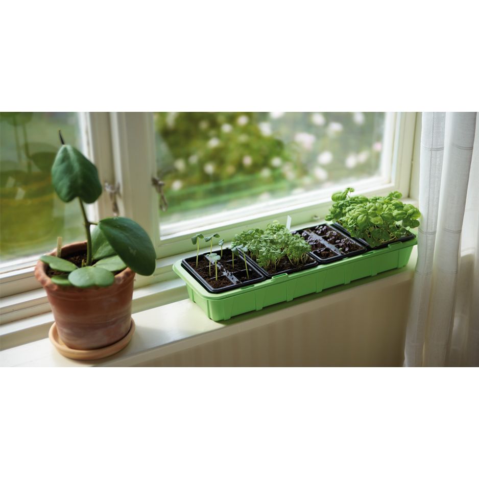 Minidrivhus Window med 24 krukor