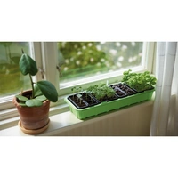 Minidrivhus Window med 24 krukor