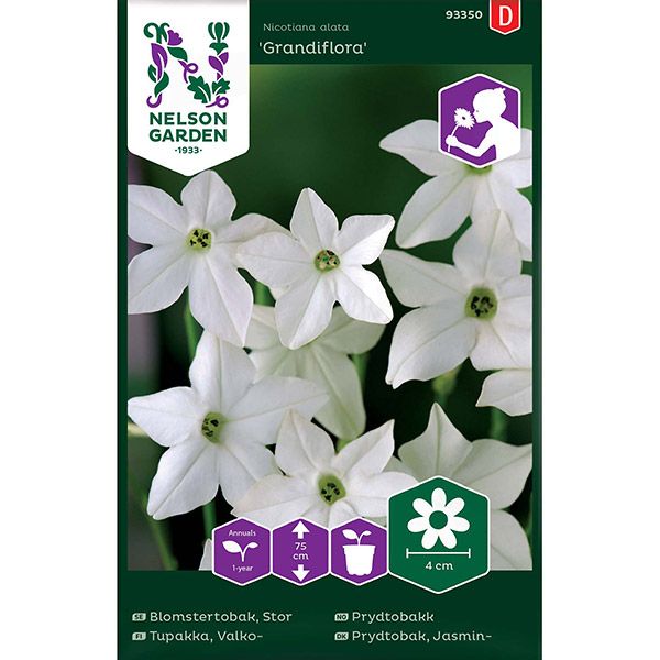 Blomstertobak, Stor-, Grandiflora, vit, v17