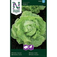 Sallat, Huvud-, Hilde II, Såband, v30