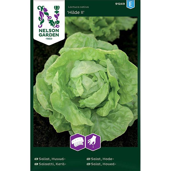 Sallat, Huvud-, Hilde II, Såband, v30