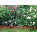 Gräskant Rostig look 14cm x 5m