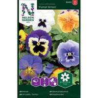 Pensé, Florist Strain, storbl. bl färger, v30