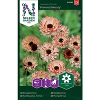 Ringblomma, Bronzed Beauty, v30