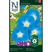 Blomman för dagen, Heavenly Blue, v26