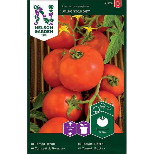 Tomat, Busk-, Balkonzauber, v17