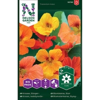 Krasse, Slinger-,  bl färger Big Pack, v26