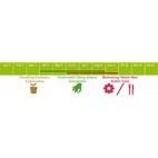 Sallat, Baby Leaf, mix, såband, v35