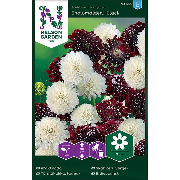 Praktvädd, Mix, v22