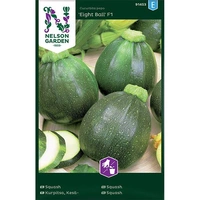 Squash, Eight Ball F1, v26