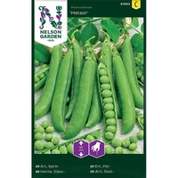 Ärt, Sprit-, Meteor, låg, v26