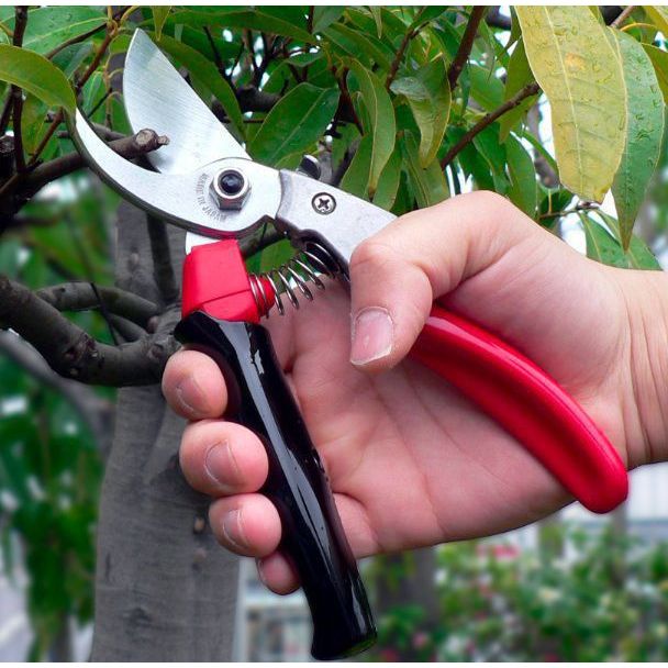 ARS-8XR, sekatör rullhandtag Medium