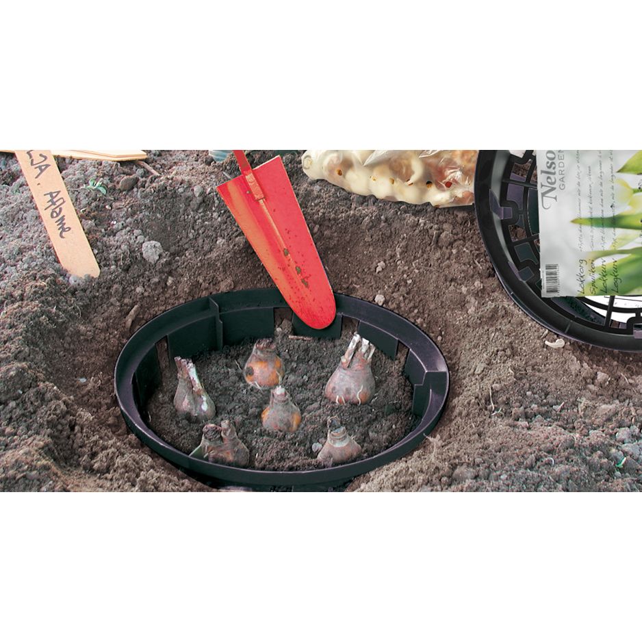 Lökkorg 26 cm 3 pack