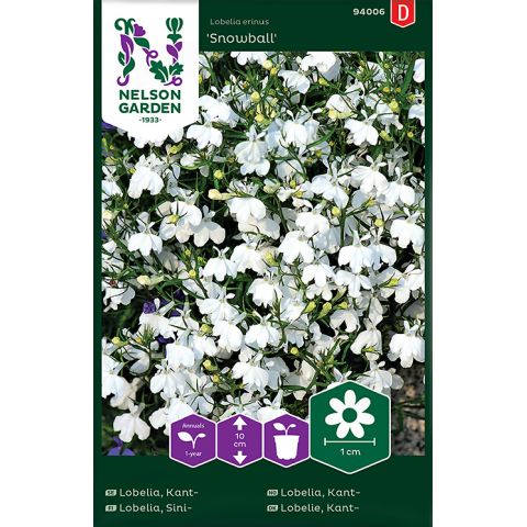 Lobelia, Kant-, Snowball, vit, v17