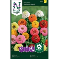 Zinnia, Sunbow, bl färger, v22