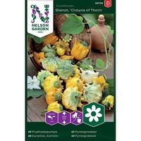 Prydnadspumpa, Crowns of Thorns, v26