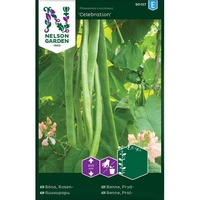 Böna, Blomster-, Celebration, v24