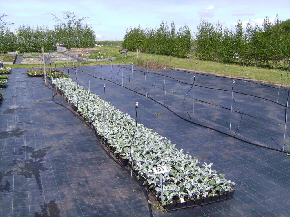 Markväv 1,05x100m 100g