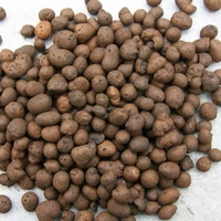 Lecakulor 2/6mm 50L