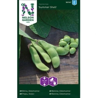Böna, Edamame-, Summer Shell, v23