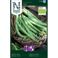 Böna, Bryt-, Maxi, Organic, v26