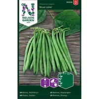 Böna, Störbryt-, Blue Lake, v26