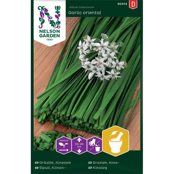 Gräslök, Kinesisk -  Garlic Oriental
