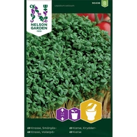 Krasse, Smörgås-, v47