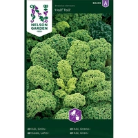 Kål, Grön-, Half Tall, v26