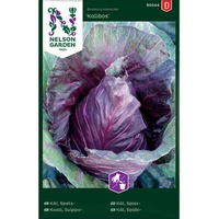 Kål, Spets-, Kalibos, v26